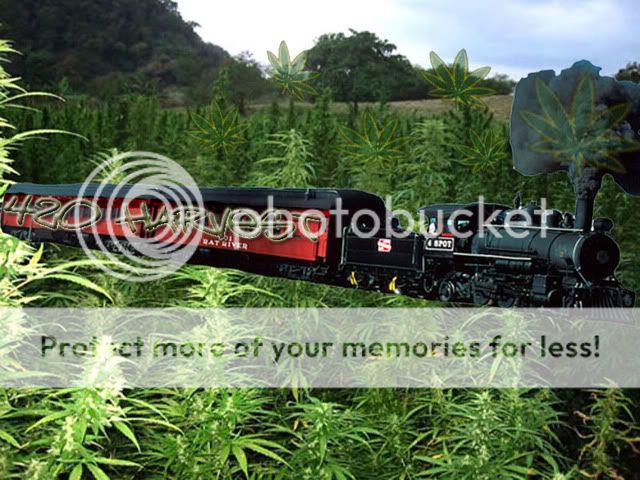 Untitled-1copy.jpg