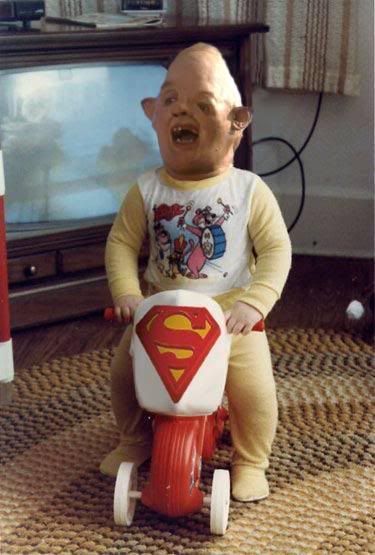 babyslothpic.jpg