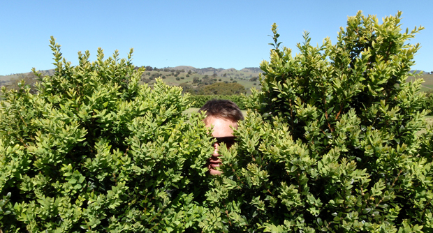 stalker1.jpg