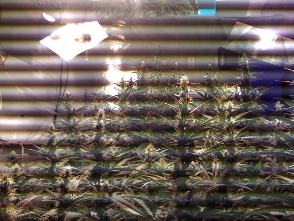 IMG_2014.jpg