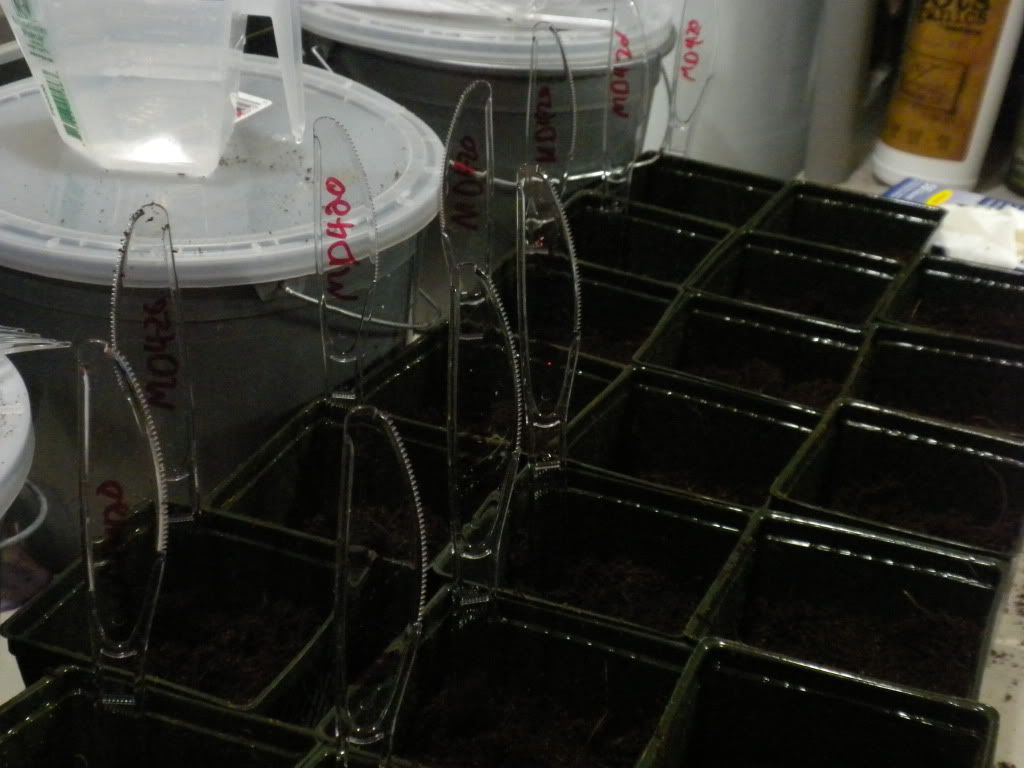DSCN2706.jpg