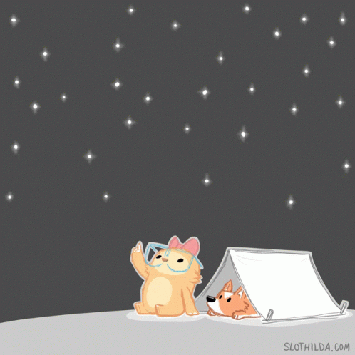 camping-shooting-star.gif