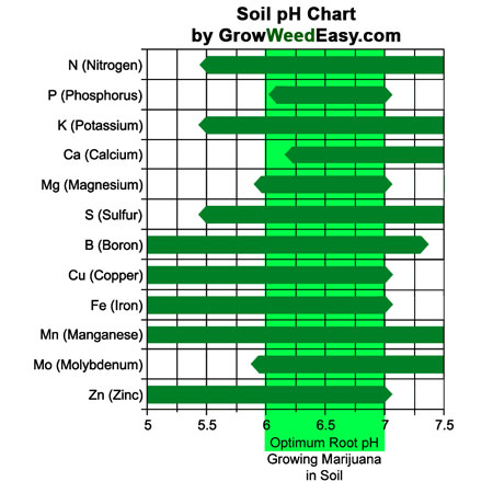 www.growweedeasy.com