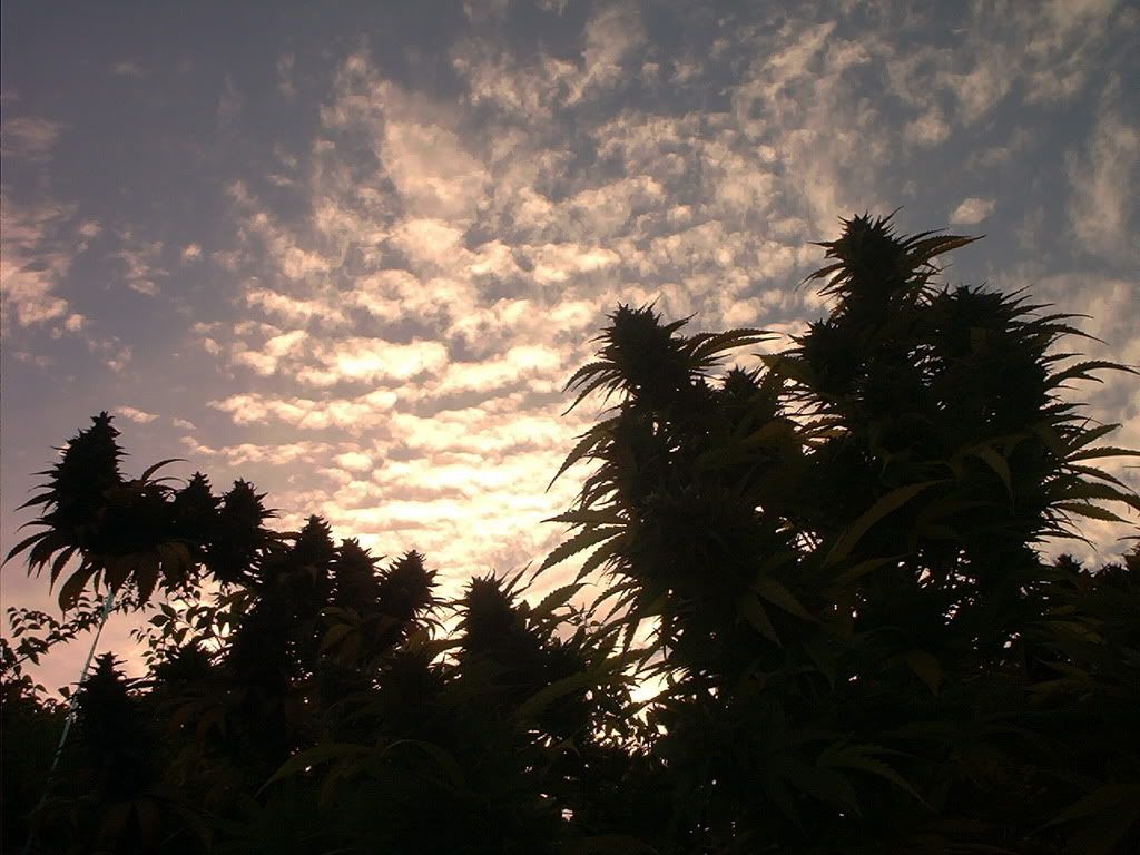IM000860.jpg