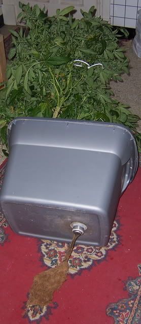 000_1458.jpg