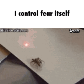 aNHBLGi.gif