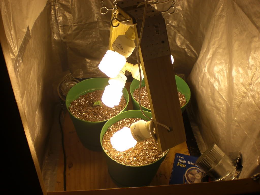 Grow019.jpg