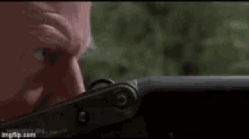 200.gif