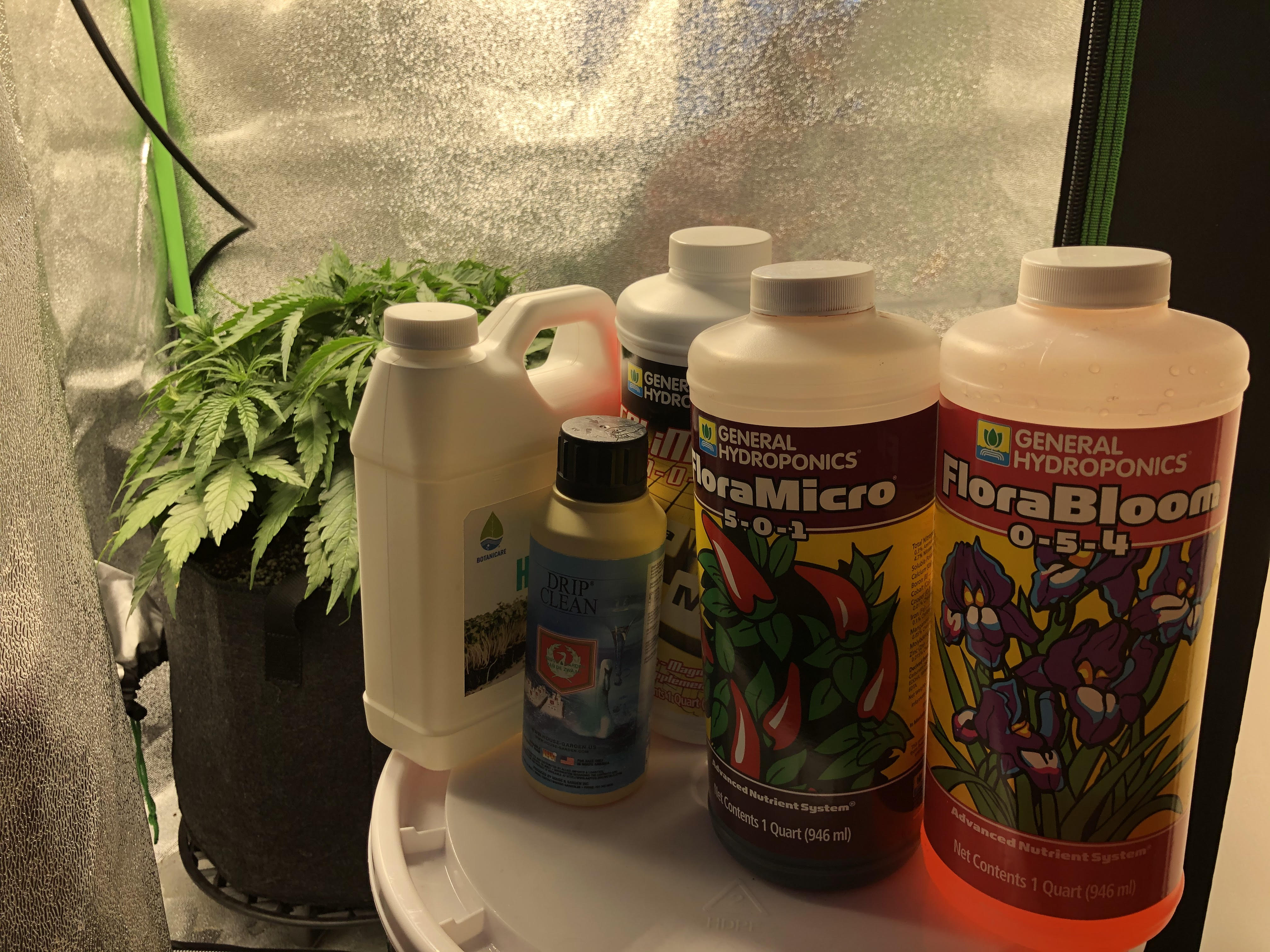 hackingthegrow.com