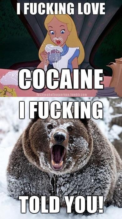 DQtmp1.jpg