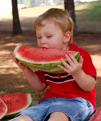 05c-watermelon2.jpg