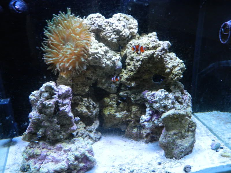 DSCN0060.jpg