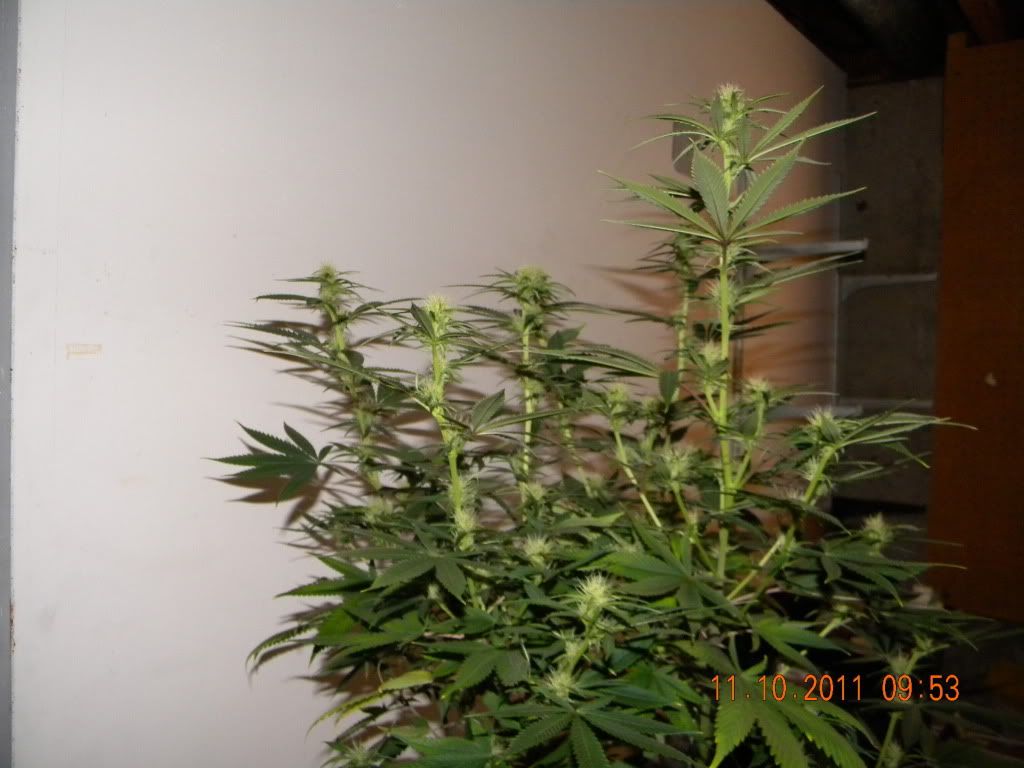 DSCN3028.jpg