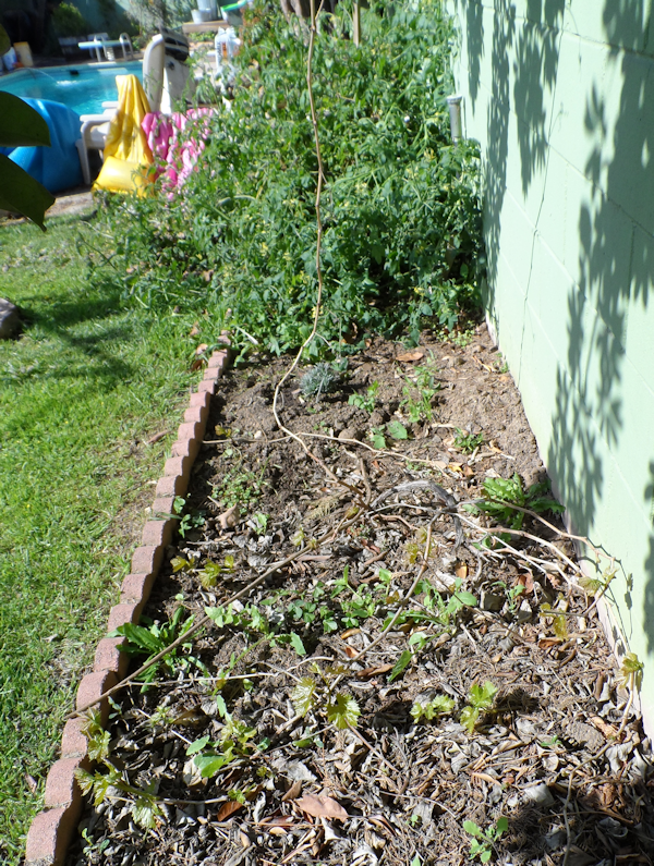 EastGrdn3-24-13_zpsf6f6e48c.png