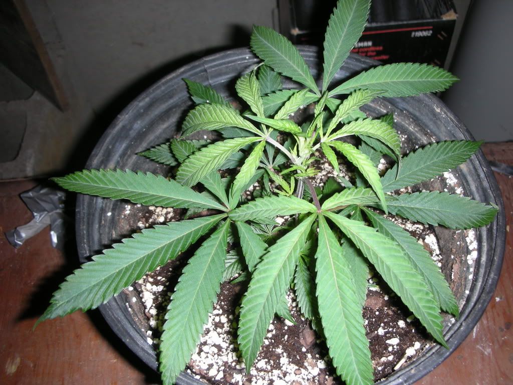 DSCN2491.jpg