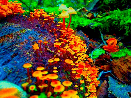 tumblr_lqp691e6XI1qizhaoo1_500.gif