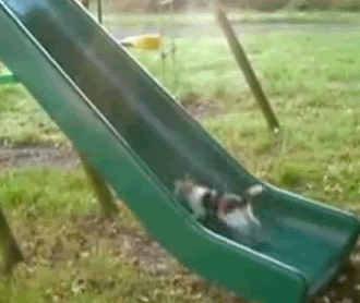 topic.gif