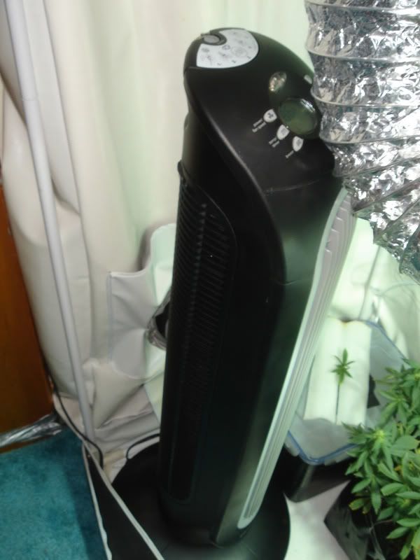 tentsetup012-1.jpg