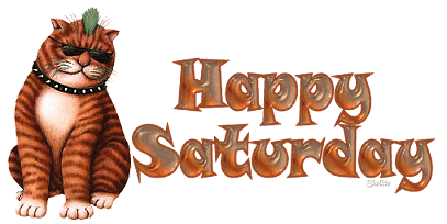 HappySaturdayCat.gif
