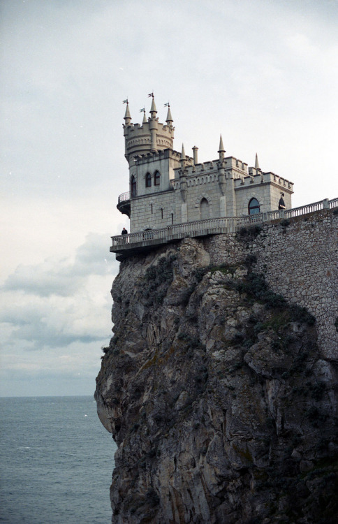 tumblr_m08pc8nqP91qgto8no1_500.jpg