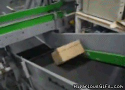 Yi8E3.gif