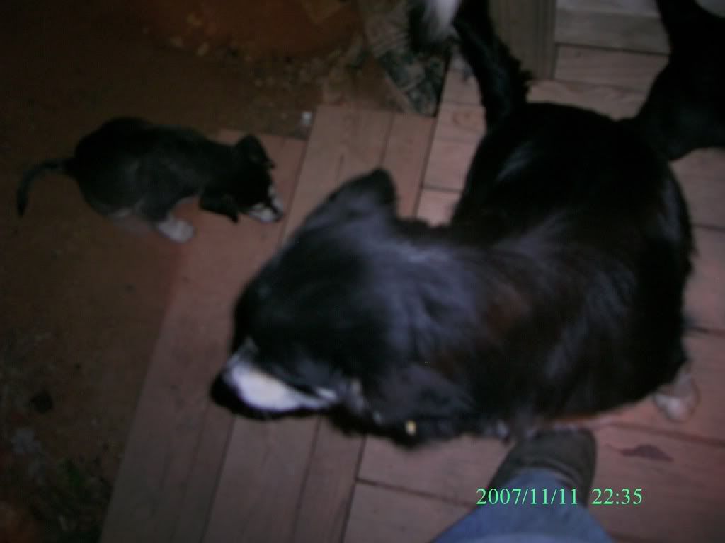 DSC_0024.jpg