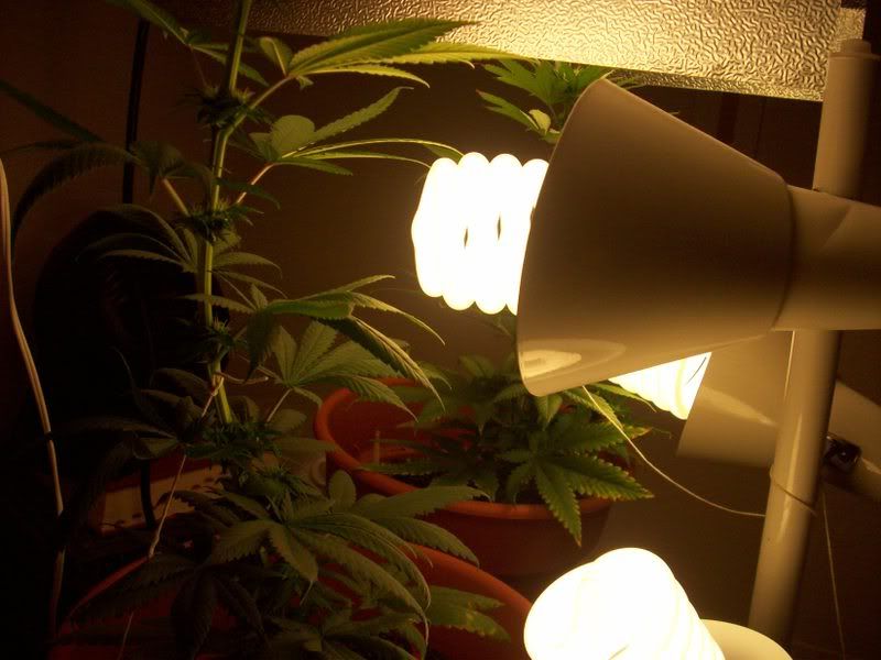 100_0369.jpg