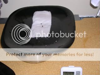 DSCN0102.jpg