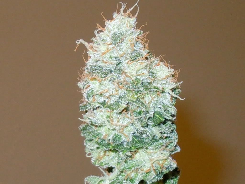 RSCN0055.jpg