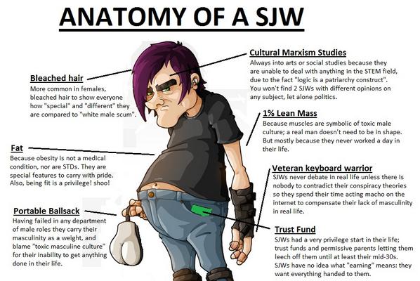 anatomy(1).jpg