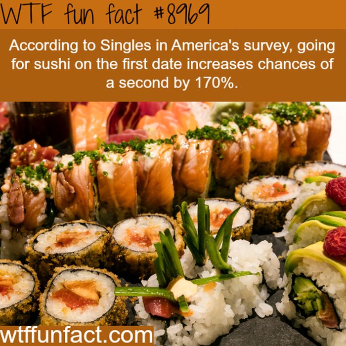 fun_facts_04.jpg