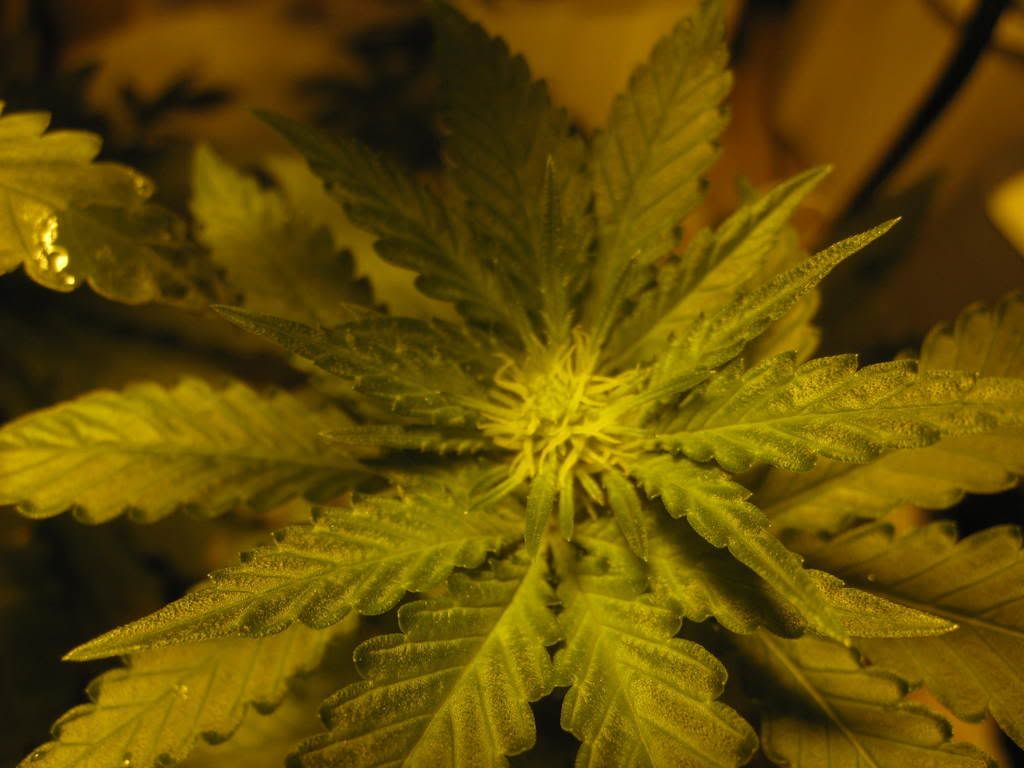 IMG_0164.jpg