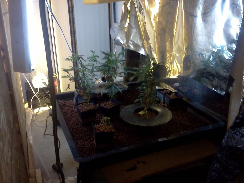 IMG_20111102_142917.jpg