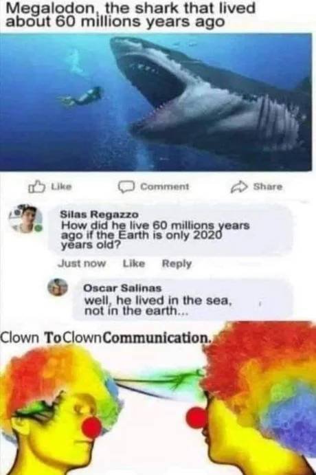 1616438643_q0ag00ai1f.jpg