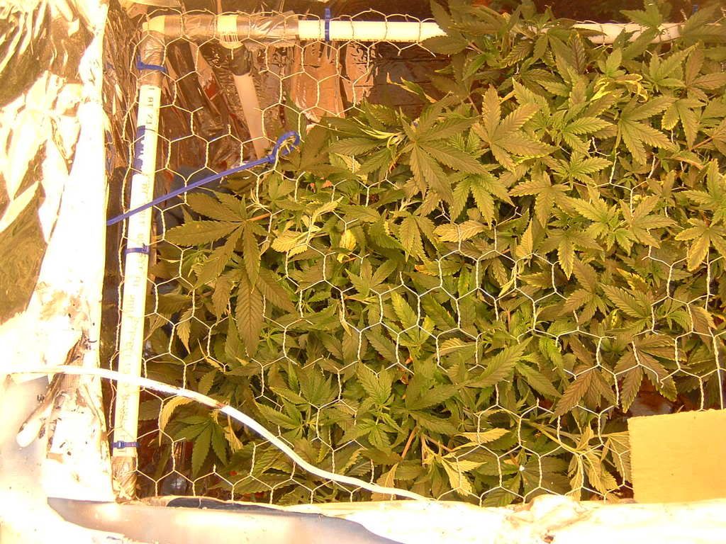 DSCF0002-6.jpg