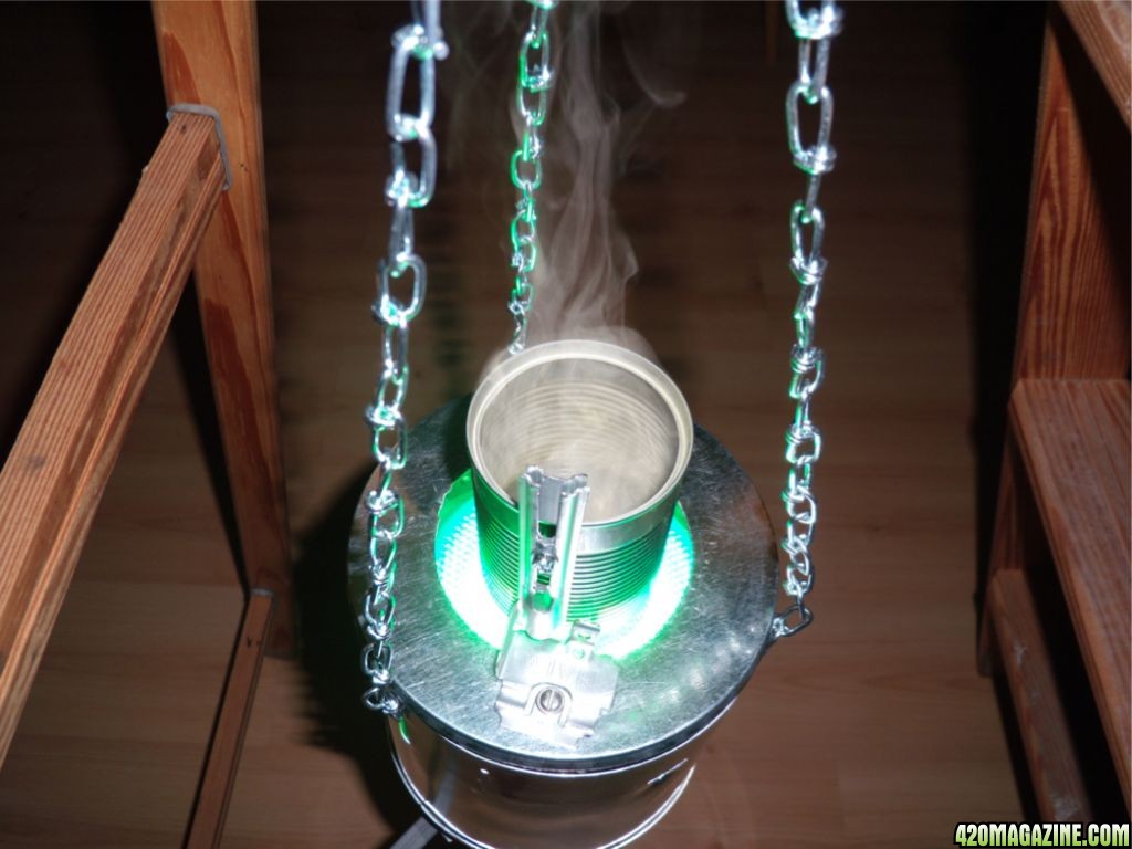 DSCN11363.JPG