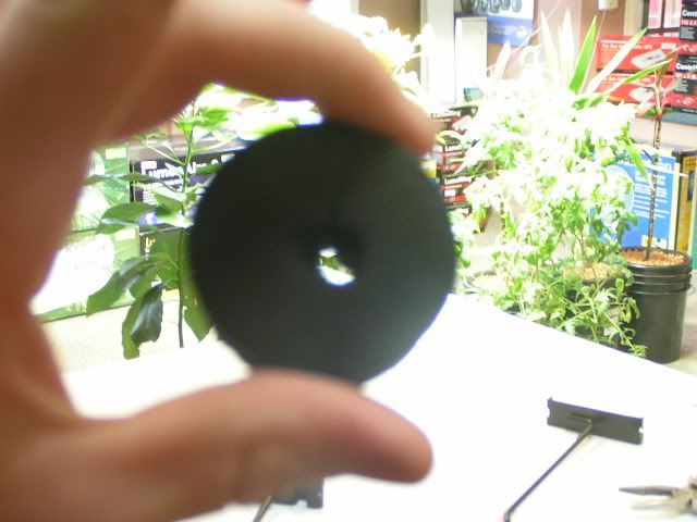 PICT6702.jpg
