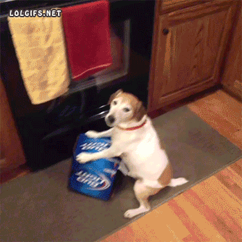 VfUsRPB.gif