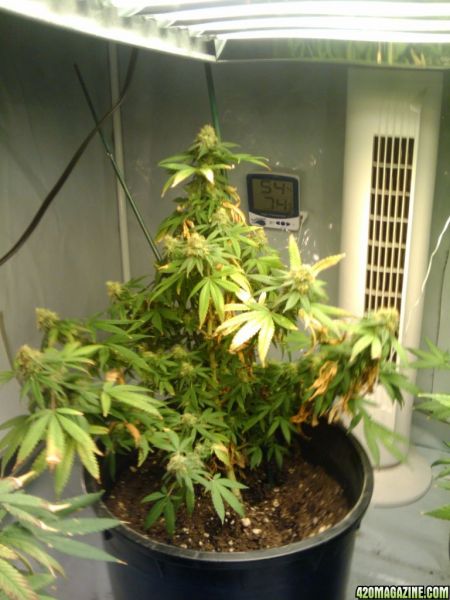 2009-11-25_19_13_00.jpg