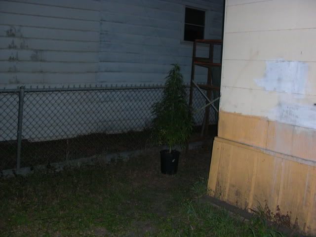 Picture056-2.jpg