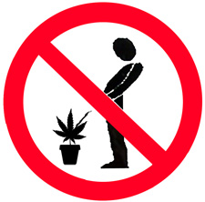 no-pee-pee-mj-sm.jpg