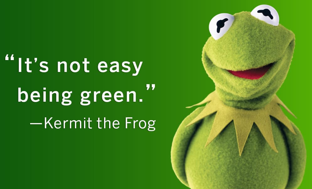 kermitthefrog2.jpg