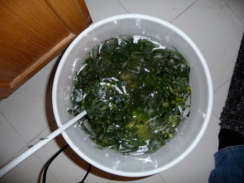 P1000200.jpg