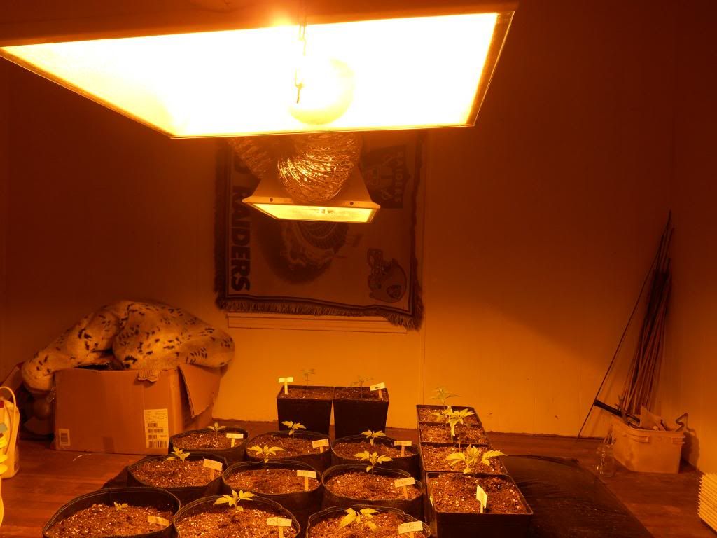 009_zps2ac93445.jpg