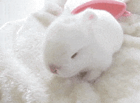 200w.gif