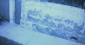 gifs_23.gif