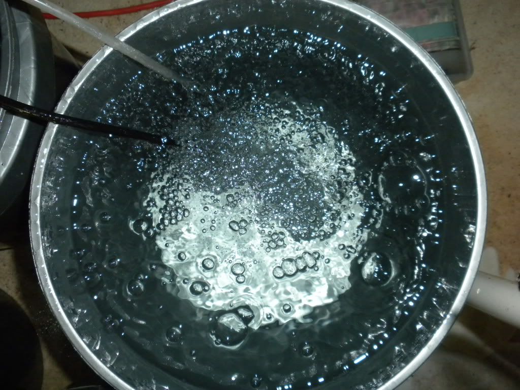 DSCN3188.jpg