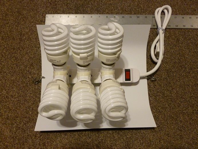 HDFlourowingBottom_zpsa3ce3c77.jpg