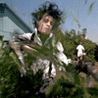 gdpit_com_96762788_54-1.gif
