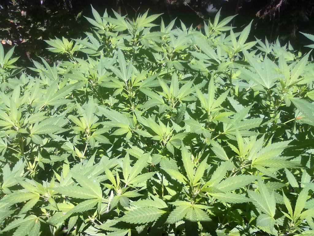 8-25-20124.jpg
